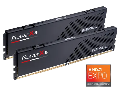 G. SKILL Flare X Series 32GB (2 x 16GB) 288-Pin PC RAM DDR5 6000 (PC5 48000) Desktop Memory Model F5-6000J3648D16GX2-FX5