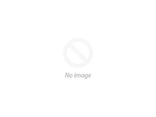 HP 632204-001 DIMM 16GB 2RX4 PC3L-10600R-9A