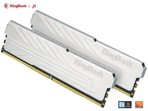 Kingbank 32GB (2 x 16GB) 288-Pin PC RAM DDR4 3200 (PC4 25600) Desktop Memory Model KPJ432D2548SSB51395