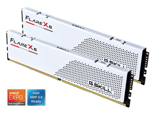 G. SKILL Flare X5 64GB (2 x 32GB) 288-Pin PC RAM DDR5 6000 (PC5 48000) Desktop Memory Model F5-6000J3636F32GX2-FX5W