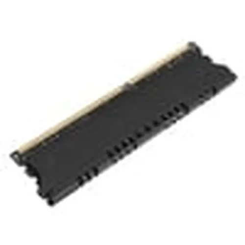 Riousery 8GB Large Capacity DDR3 Memory RAM 1600MHz Fast Data Transmission DDR3 RAM for Desktop Computer Upgrades, 2.3 oz / 65 g, 6.3 inches / 16 cm Length, Plug and Play Desktop Performance Module
