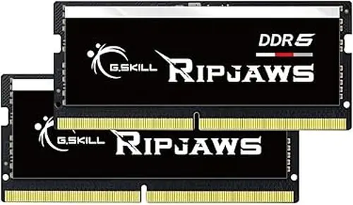 G.SKILL Ripjaws DDR5 SO-DIMM Series DDR5 RAM 64GB (2x32GB) 4800MT/s CL40-39-39-76 1.10V Unbuffered Non-ECC Notebook/Laptop Memory SO-DIMM (F5-4800S4039A32GA2-RS)