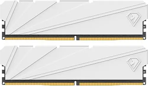 Netac DDR4 DRAM 32GB Kit16GBx2 C16 3200MHz XMP 2.0 Dual Channel RAM (PC4-25600) 1.35V 288-Pin Upgraded Aluminum Heat Sink Ideal for Gaming Computer Upgrade - Shadow S