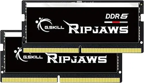 G.SKILL Ripjaws DDR5 SO-DIMM Series DDR5 RAM 96GB (2x48GB) 5600MT/s CL46-45-45-89 1.10V Unbuffered Non-ECC Notebook/Laptop Memory SO-DIMM (F5-5600S4645A48GX2-RS)