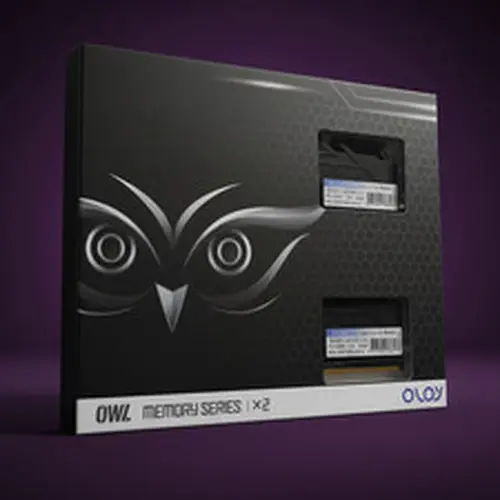 OLOy OWL Series 16GB 2x8GB DDR4 3200MHz PC4-25600 CL16 Desktop RAM Memory Kit