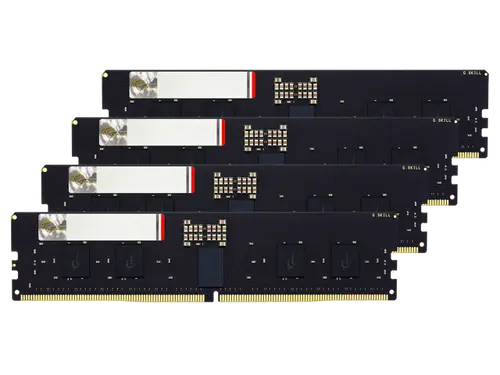 G. SKILL G5 Series 64GB (4 x 16GB) ECC Registered DDR5 6000 (PC5 48000) Server Memory Model F5-6000R3036G16GQ4-G5