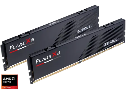 G. SKILL Flare X5 64GB (2 x 32GB) 288-Pin PC RAM DDR5 6000 (PC5 48000) Desktop Memory Model F5-6000J2836G32GX2-FX5