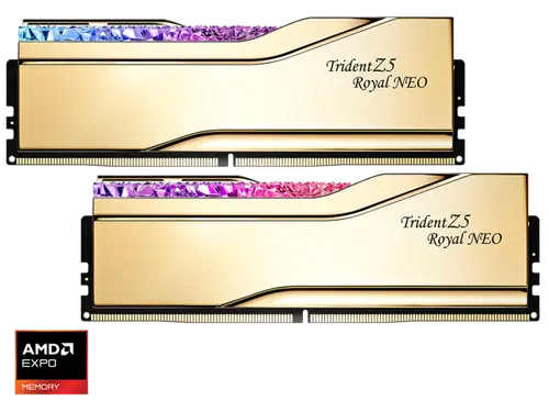 G. SKILL Trident Z5 Royal Series 96GB (2 x 48GB) 288-Pin PC RAM DDR5 6000 (PC5 48000) Desktop Memory Model F5-6000J2836F48GX2-TR5NG