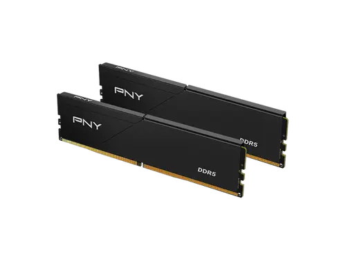 PNY Performance 32GB (2 x 16GB) DDR5 5600 (PC5 44800) Desktop Memory Model MD32GK2D5560046LP