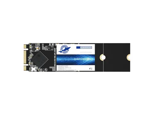 Dogfish M.2 SSD 512GB 3D NAND TLC SATA III 6 Gb/s, M.2 (2280mm) Internal Solid State Drive - Compatible with Desktop PC Laptop - (M.2 2280 512GB)