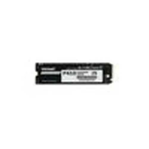 Patriot P410 SSD M.2 2280 2TB Gen 4 PCI-Express 4.0 x4 P410P2TBM28H 5,000MB/s