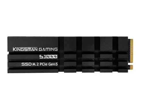 KINGSMAN S1000 M.2 2280 2TB PCIe Gen5.0x4 with DRAM CACHE and Heatsink, Up to 14,000 MB/s Internal Solid-State Drive