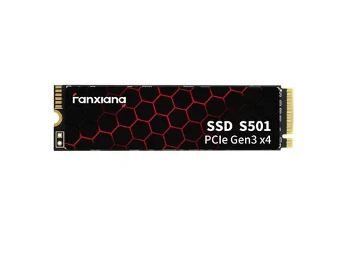 Fanxiang S501 256GB M.2 2280 PCIe Gen3x4, NVMe 1.3 protocol SSD 3D NAND TLC Internal Solid State Drive, Upgrade Storage for PC/Laptops Read Speed...