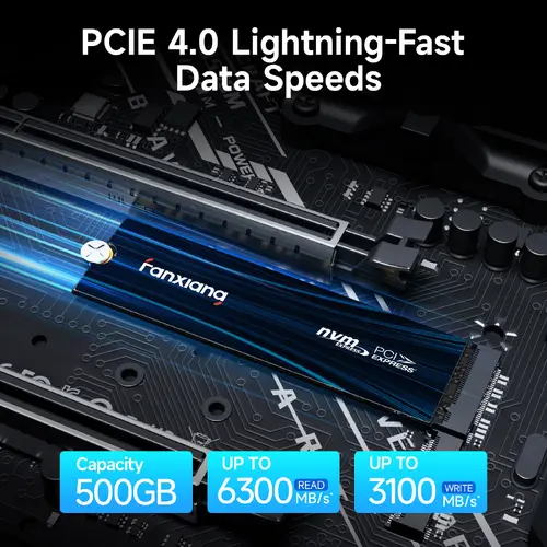Fanxiang 128GB 256GB 512GB 1TB SSD M.2 NVMe PCIe GEN4/GEN3 Hard Drive 2TB 4T LOT