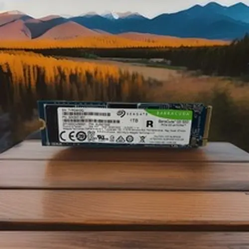 Seagate Barracuda Q5 ZP1000CV30001 1 TB M.2 PCIe G3 x4 NVMe SSD - Crystal Disk