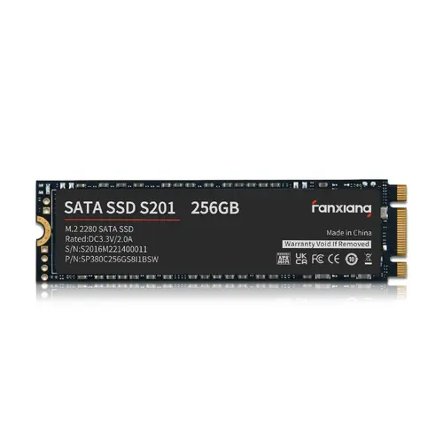 Fanxiang M.2 SATA SSD 256GB 512GB 1TB 2TB Hard Drive W/SLC Cache 3D TLC Lot