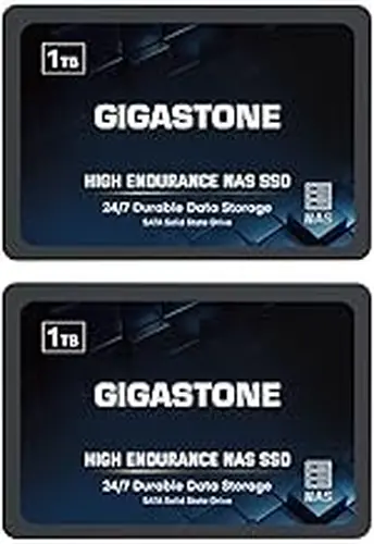 Gigastone 1TB High Endurance SSD (2-Pack) Up to 550MB/s TLC Flash with SLC Caching 24/7 Reliable for Gaming/PC/NAS SSD 5-Year Warranty 2.5" SATA Internal Solid State Drives RAID Disk