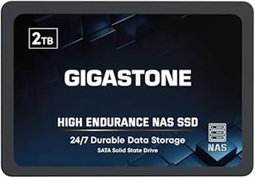 Gigastone 2TB High Endurance SSD Up to 550MB/s TLC Flash with SLC Caching 24/7 Reliable for Gaming/PC/NAS SSD 5-Year Warranty 2.5" SATA Internal Solid State Drives RAID Disk