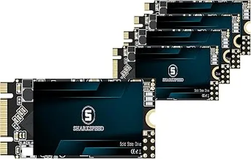 M.2 2242 SSD 64GB 5PACK NGFF 42mm B+M Key SATA 3