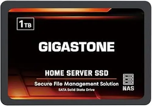 Gigastone 1TB Home Server SSD Up to 550MB/s TLC Flash with SLC Caching 24/7 Reliable for Gaming/PC/NAS SSD 3-Year Warranty 2.5" SATA Internal Solid State Drives RAID Disk