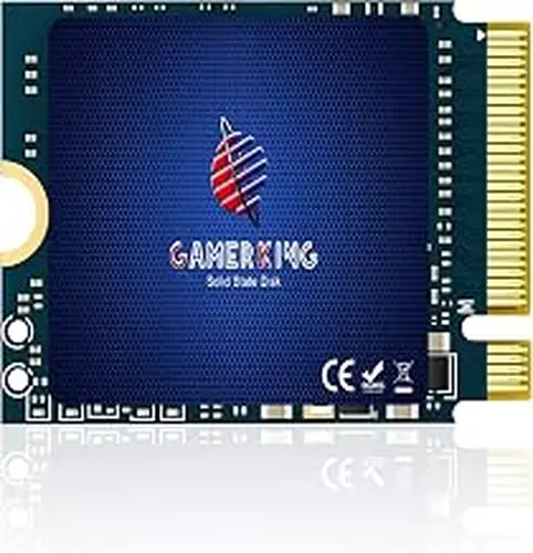 GAMERKING 256GB M.2 2230 SSD NVMe PCIe Gen 4.0X4 Internal Solid State Drive