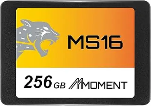 MMOMENT MS16 256GB 2.5-Inch SATA III SSD, 550MB/s Read, 500MB/s Write