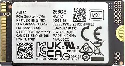 256GB SSD M.2 2242 NVMe PCIe GEN4 AM6B0 RPJTJ256MMQ1MDY SSS1S36619 5SS1S36616 Solid State Drive (M.2 PCIe Gen 4 x4 NVMe)