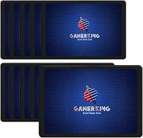 GAMERKING SSD 2.5 SATA III 64GB [64GB(10 Packs),2.5-SATA3]