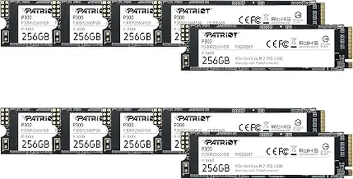 Patriot P300 256GB PCIe Gen 3x4 M.2 2280 SSD 10-Pack