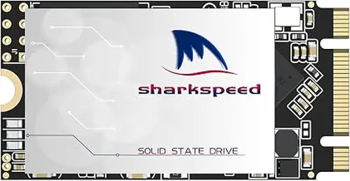 SSD 1TB M.2 2242 NGFF Plus Internal M2 SSD 3D NAND SATA III 6 Gb/s, Solid State Drive for Notebooks Desktop PC (M.2 2242 1TB)