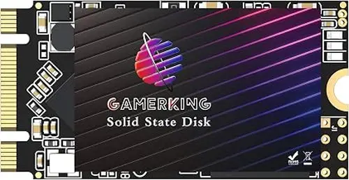 Gamerking SSD M.2 2242 64GB NGFF Internal Solid State Drive High Performance Hard Drive for Desktop Laptop SATA III 6Gb/s M2 SSD 60gb 64gb (64GB, M.2 2242)