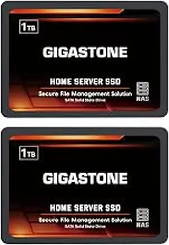 Gigastone 1TB Home Server SSD (2-Pack) Up to 550MB/s TLC Flash with SLC Caching 24/7 Reliable for Gaming/PC/NAS SSD 3-Year Warranty 2.5" SATA Internal Solid State Drives RAID Disk