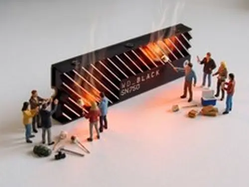 500GB SN750 NVMe Internal SSD with Heatsink