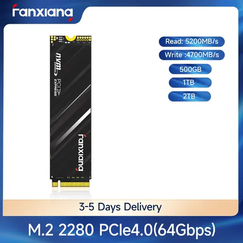 Fanxiang 1TB M.2 SSD NVMe PCIe Gen 4 Internal Solid State Drive For PS5 7300MB/s