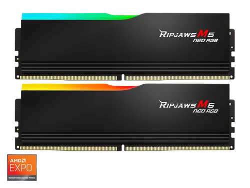 G. SKILL Ripjaws M5 RGB Series 32GB (2 x 16GB) 288-Pin PC RAM DDR5 6000 (PC5 48000) Desktop Memory