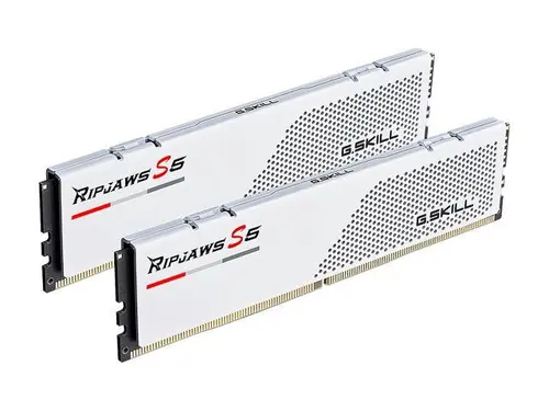 G. SKILL Ripjaws S5 Series 32GB (2 x 16GB) 288-Pin PC RAM DDR5 6000 (PC5 48000) Desktop Memory Model F5-6000J3238F16GX2-RS5W