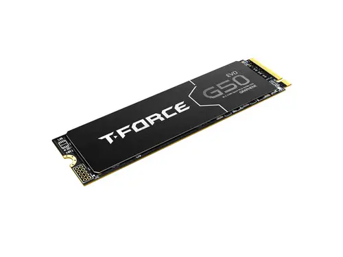 Team Group Team Group T-Force G50 EVO M.2 2280 4TB PCIe Gen4.0 x4 with NVMe Internal SSD (TM8FGQ004T0C129)
