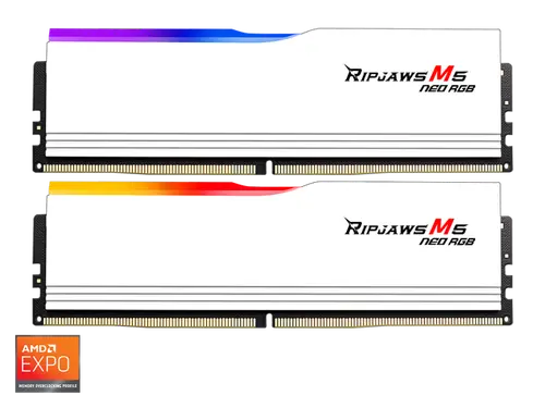 G. SKILL Ripjaws M5 RGB Series 32GB (2 x 16GB) 288-Pin PC RAM DDR5 6000 (PC5 48000) Desktop Memory