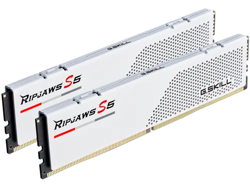 G. SKILL Ripjaws S5 Series 96GB (2 x 48GB) 288-Pin PC RAM DDR5 5200 (PC5 41600) Desktop Memory Model F5-5200J4040A48GX2-RS5W