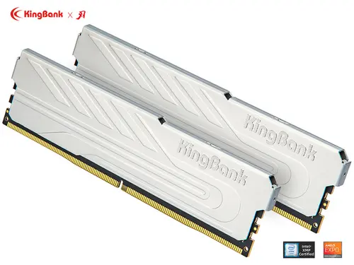 Kingbank 32GB (2 x 16GB) 288-Pin PC RAM DDR4 3200 (PC4 25600) Desktop Memory Model KPJ432D2548SSB51395