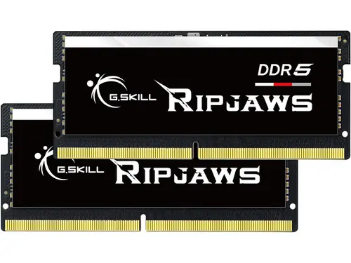G. SKILL Ripjaws SO-DIMM 32GB (2 x 16GB) 262-Pin DDR5 SO-DIMM DDR5 4800 (PC4 38400) Laptop Memory Model F5-4800S4039A16GX2-RS