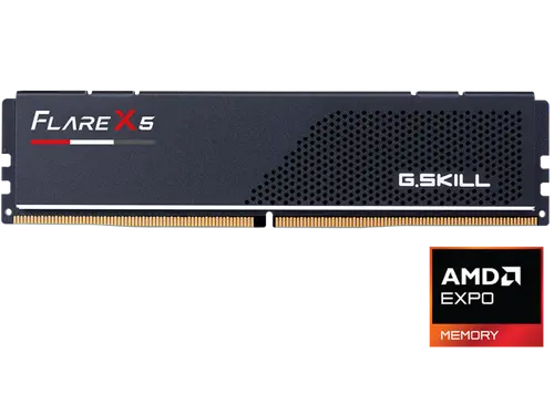 G. SKILL Flare X5 8GB 288-Pin PC RAM DDR5 6000 (PC5 48000) Desktop Memory Model F5-6000J3038F8GH1-FX5