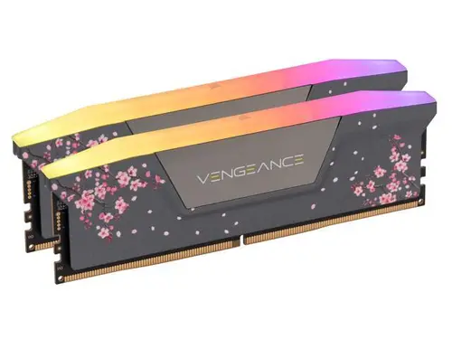 CORSAIR Vengeance RGB 32GB (2 x 16GB) 288-Pin PC RAM DDR5 6000 (PC5 48000) Custom Lab Cherry Blossom Desktop Memory Model CMH32GX5M2B6000Z30CB - Gray