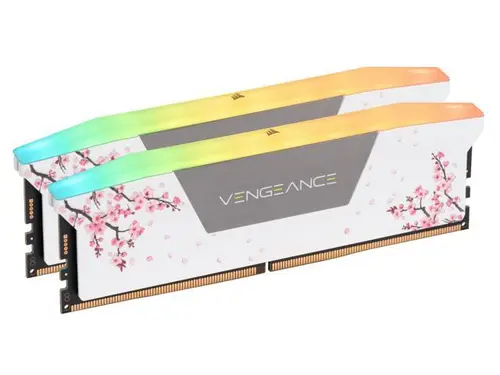 CORSAIR Vengeance RGB 32GB (2 x 16GB) 288-Pin PC RAM DDR5 6000 (PC5 48000) Custom Lab Cherry Blossom Desktop Memory Model CMH32GX5M2B6000Z30WCB -...