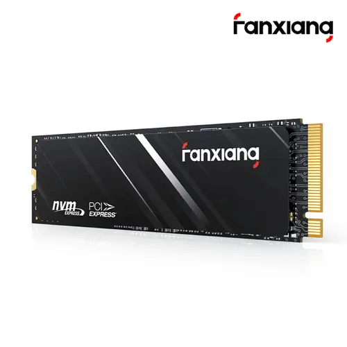 Fanxiang 5/10/20 LOT 1TB 2TB SSD M.2 NVMe PCIe Gen4X4 Internal Solid State Drive