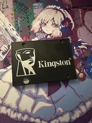 Kingston KC600 256GB 2.5 in SATA III Internal SSD (SKC600/256G)