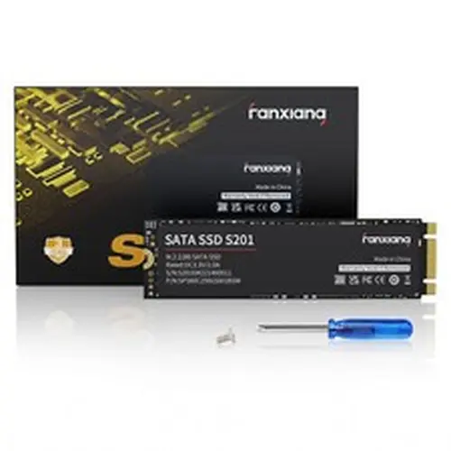 Fanxiang M.2 SATA SSD 256GB 512GB 1TB 2TB Hard Drive W/SLC Cache 3D TLC Lot