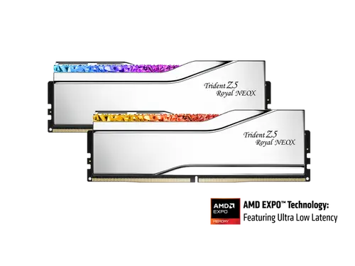 G. SKILL Trident Z5 Royal NeoX Series 32GB (2 x 16GB) 288-Pin PC RAM DDR5 6000 (PC5 48000) Desktop Memory Model F5-6000A2636H16GX2-TR5NXS