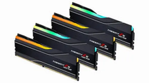 G.Skill Trident Z5 Neo RGB 256GB (4x64GB) DDR5-6000 F5.6000J3644D64GX4.TZ5NR