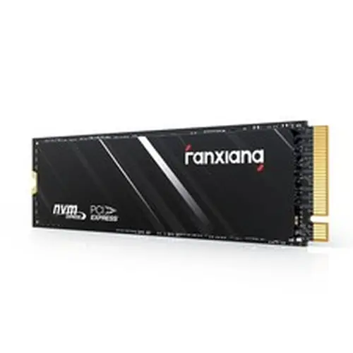 Fanxiang 500GB PS5 Internal Gaming SSD M.2 NVMe 2280 PCIe GEN4 Solid State Drive